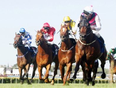 melbourne-cup-horse-by-horse-preview-large-content