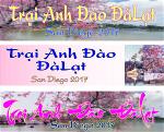 trai-anh-dao-banner-2x8ft